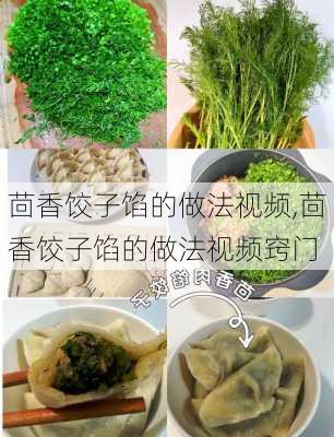 茴香饺子馅的做法视频,茴香饺子馅的做法视频窍门